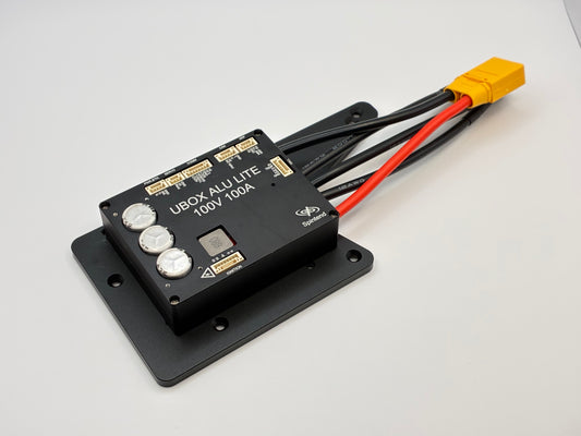 ESC Controller Mount
